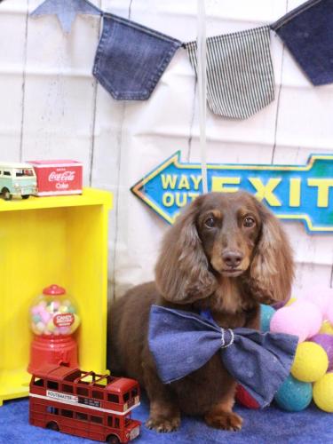 20230418ジョナくん